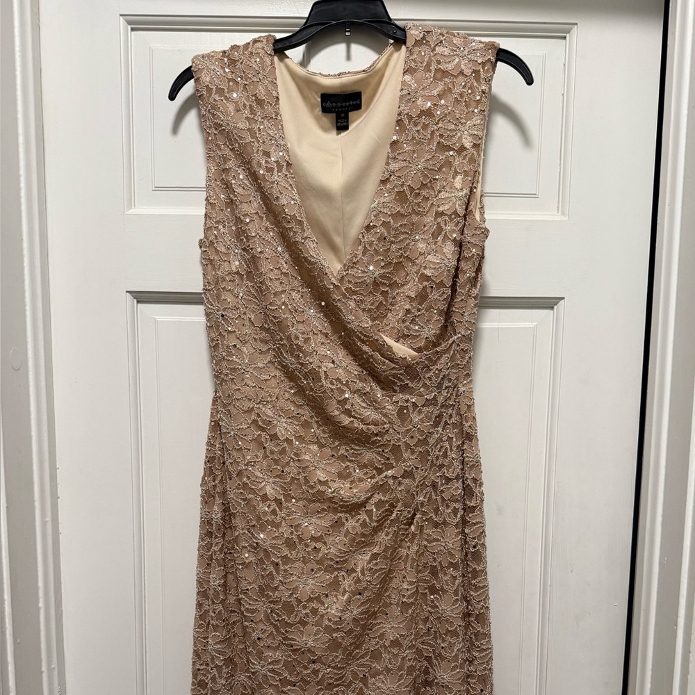 Midi Dress in Shimmery Champagne with Lace Women’s Size 10 NWOT